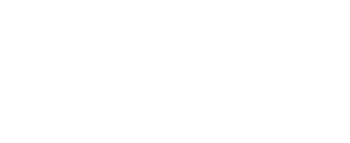 Logotip W4C blanc